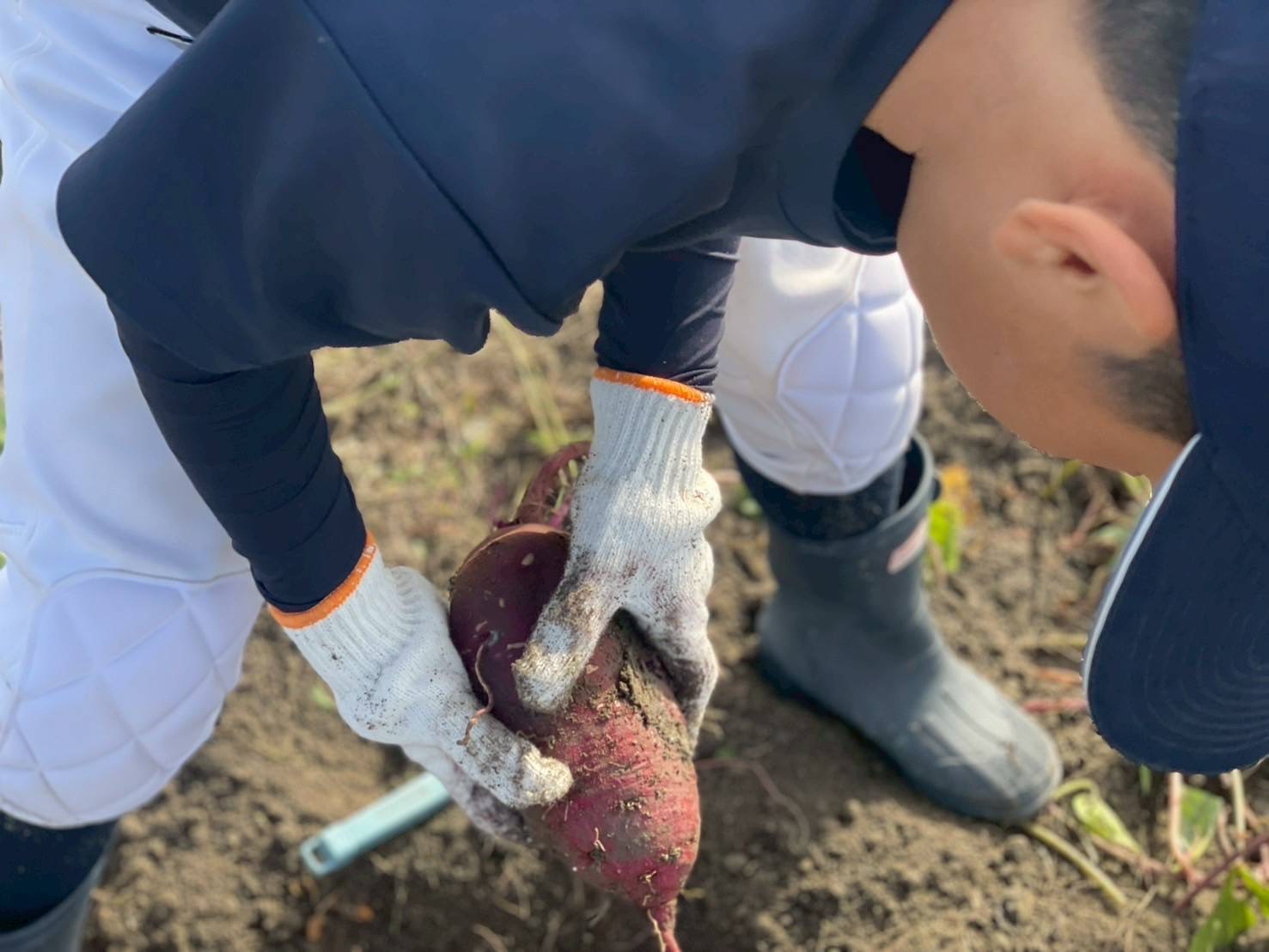 芋掘りイベントを行いました！🍠